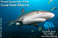 coral reef alliance