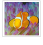 Clownfish