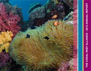 2010 Annual Report