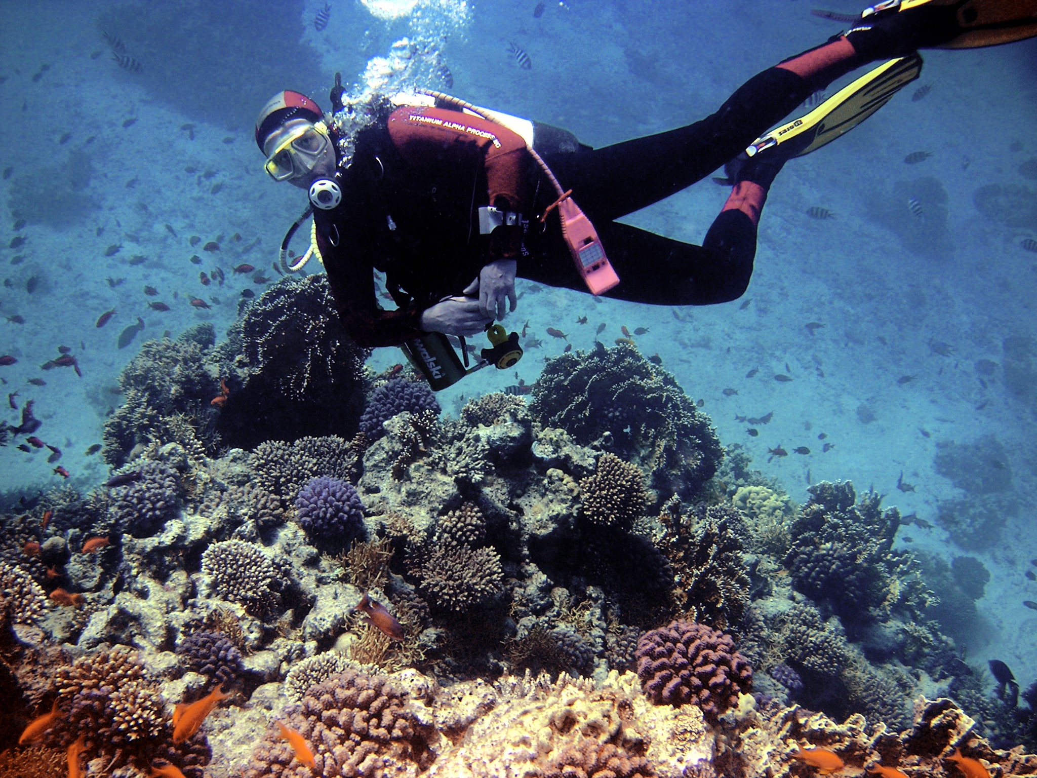 Diver in Hurghada, Red Sea