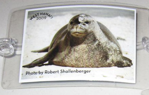 Bag Tag Seal Photo Bag Tag Seal Photo
