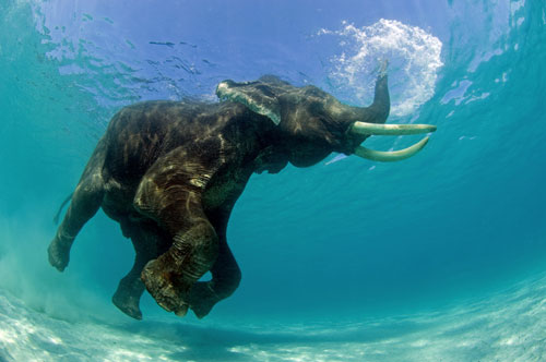 Rajan Snorkeling Rajan Snorkeling