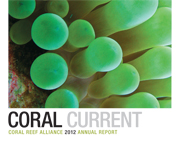 2012 Annual Report