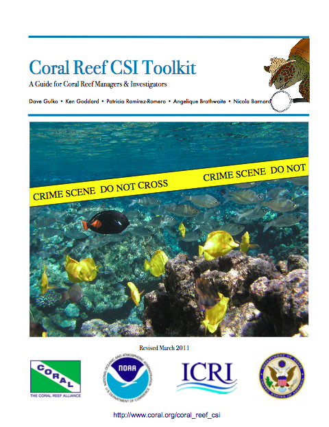 CSI Toolkit Front Cover
