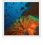 UN Adopts Resolutions on Coral Reefs and Marine Biodiversity