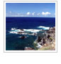 Ocean Conference Produces Broad Policy Recommendations