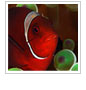 Photo Contest Winner Announced!