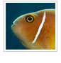 Photo Contest Winner Announced!