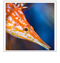 Photo Contest Winner Announced!