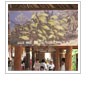 Photographs Raise Awareness at the Puerta Maya Cruise Terminal