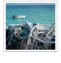 Marine Debris Removal in the Northwestern Hawaiian Islands