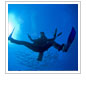 Let's Go Diving!
