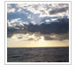 CORAL Speaks Out Against Ocean Acidification