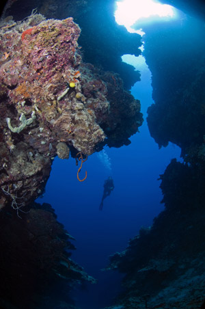 Kimbe Bay, Papua New Guinea by Jeff Yonover