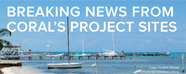 Summer 2010 Newsletter