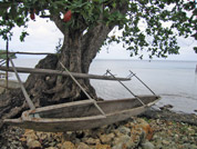 Madang Lagoon