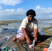 Cleaning Fish