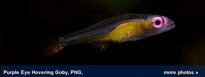 photos from png