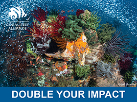 Double your impact for reefs