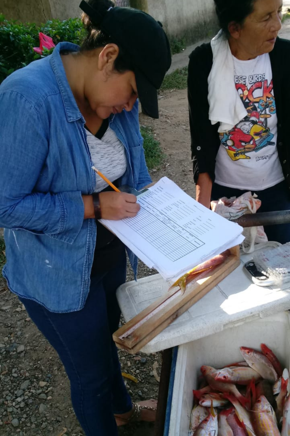 Community scientist Ana Valdez measures a fishers catch