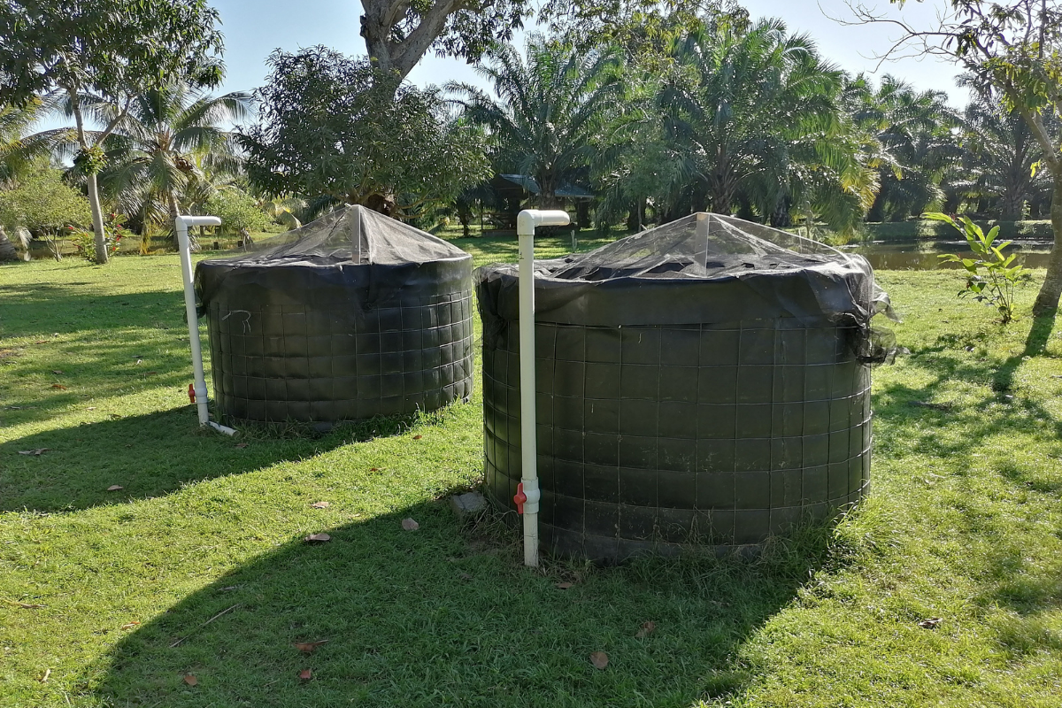 Two aquaculture systems in Tela, Honduras