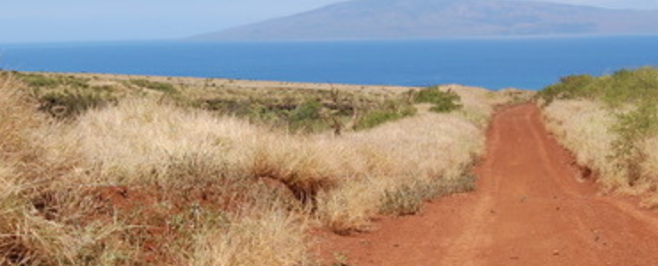 Dirt road waiting to be restored in Maui, Hawaii