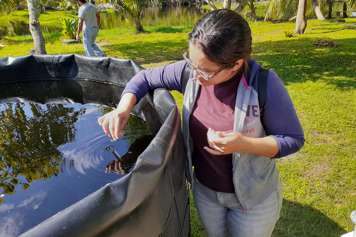 Paula Urrutia takes a water sample from the aquaculture system
