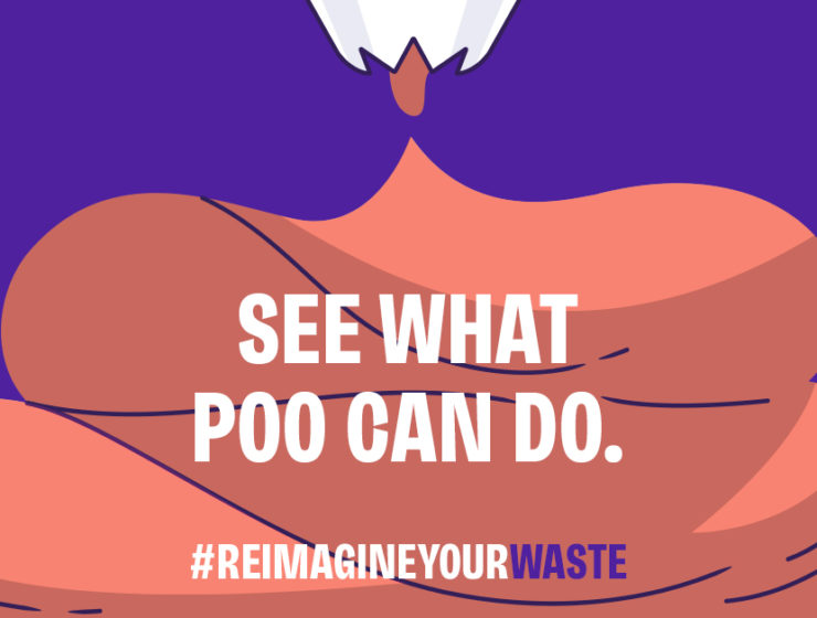 See what poo can do