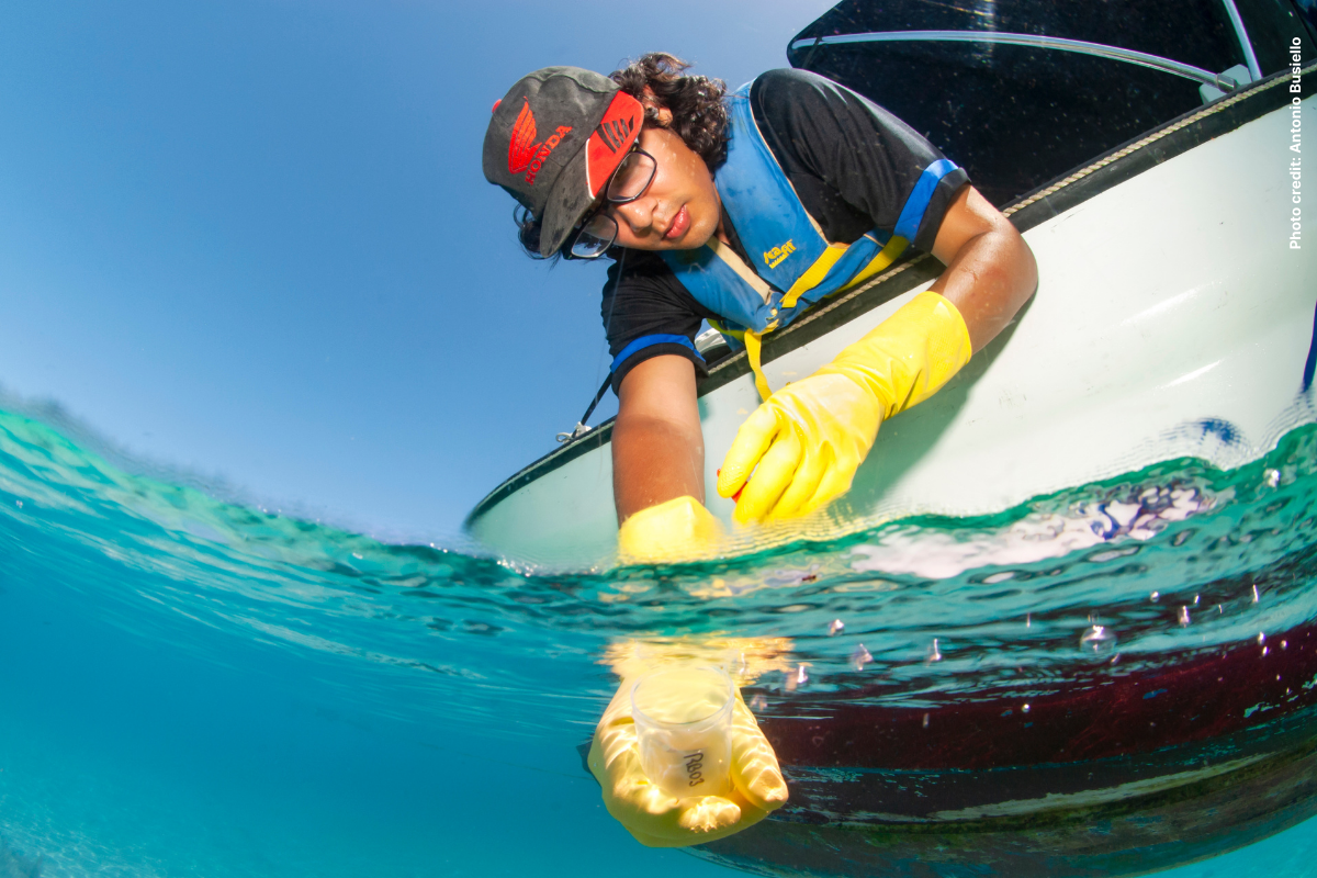 BICA, pruebas de calidad del agua en el arrecife de coral