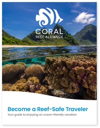 zefir coral travel