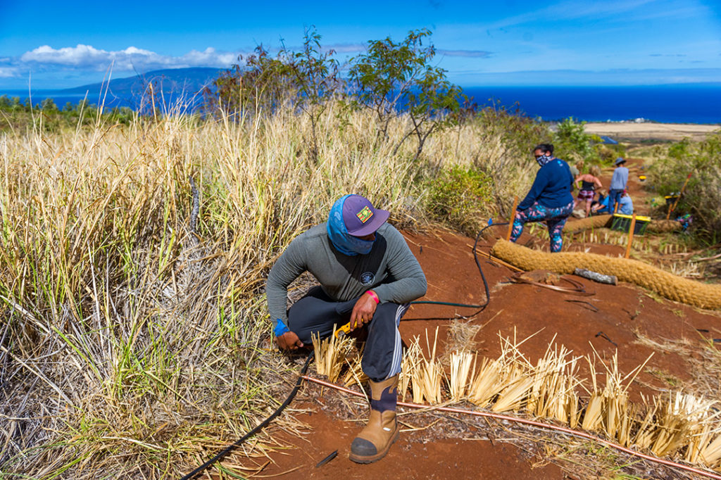 CORAL staff and volunteers restore old dirt road in Maui, Hawaii