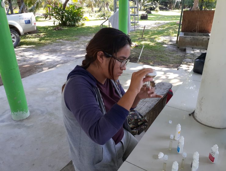 Paola Urrutia tests water samples in Tela Bay