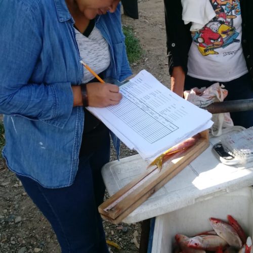 Ana Valdez marks down measurements of a fisherman's catch
