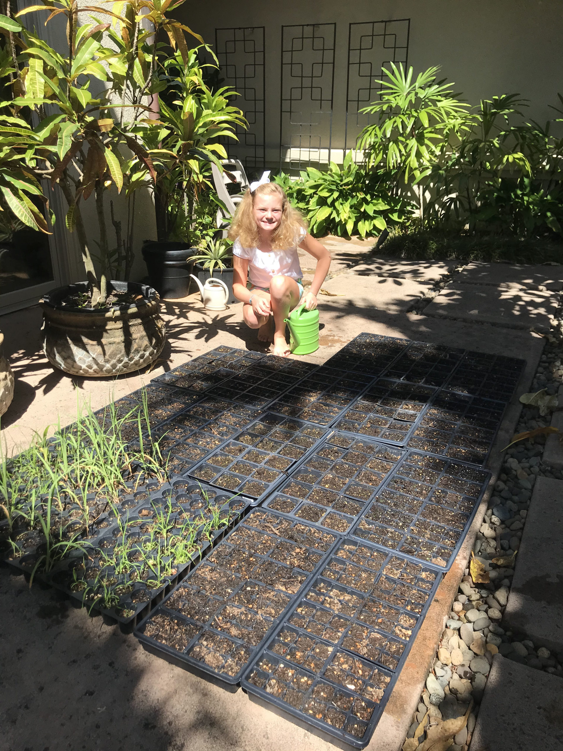 Abby Rogers with 900 native plant seedlings