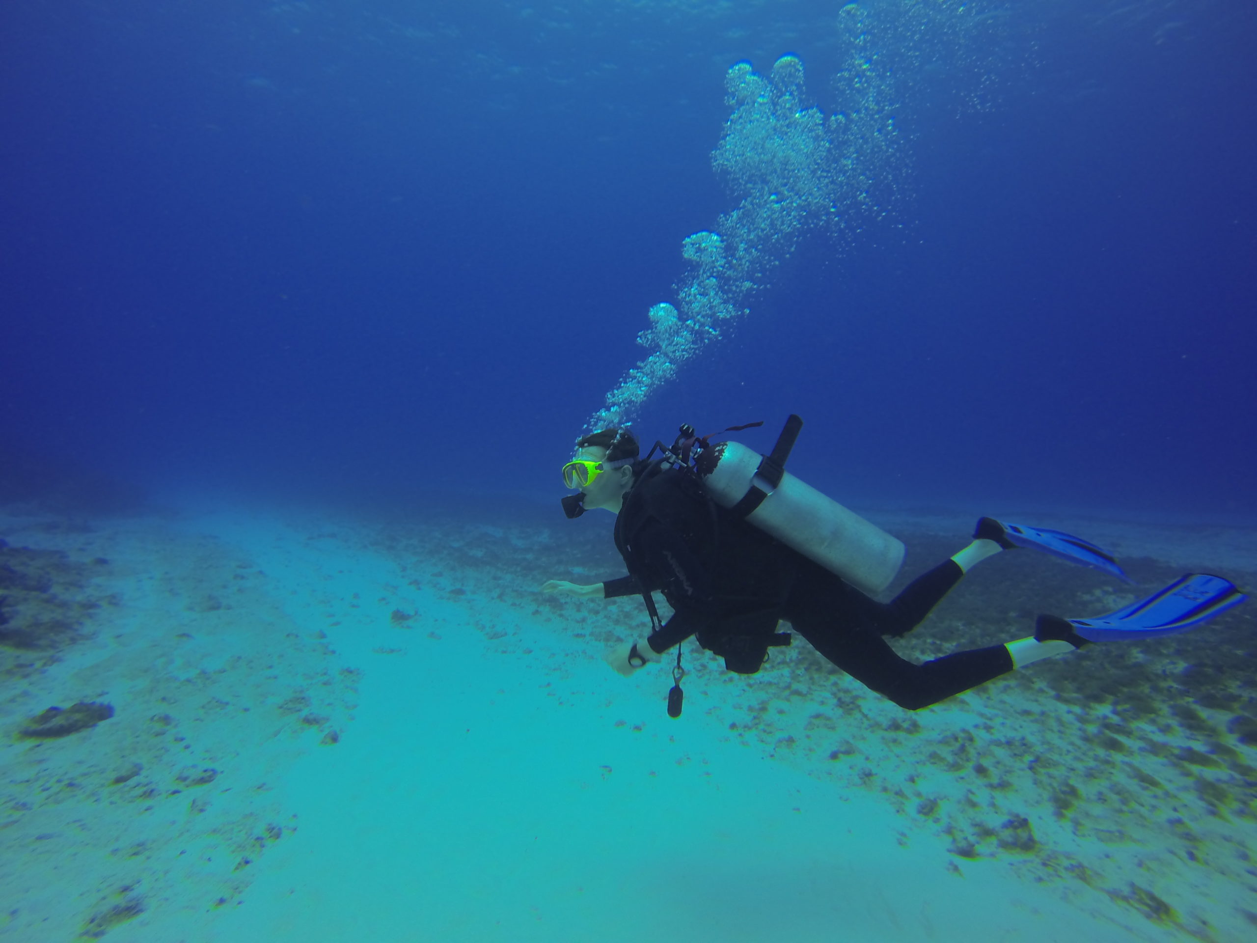 Me (Kate) diving in Cozumel. Photo by CORAL staff