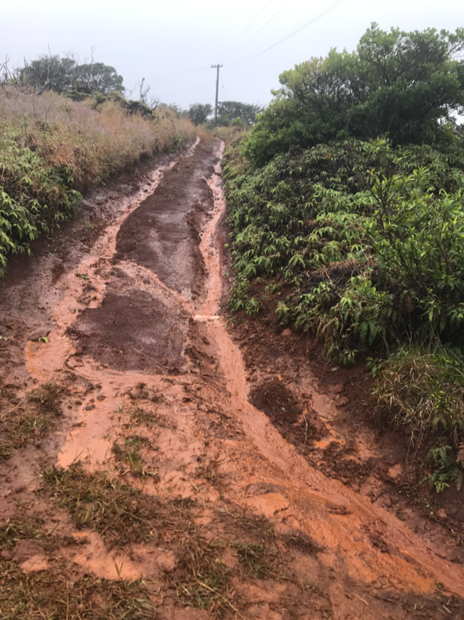 Stormwater running off of a dirt road in Maui. (Photo by CORAL Maui team)