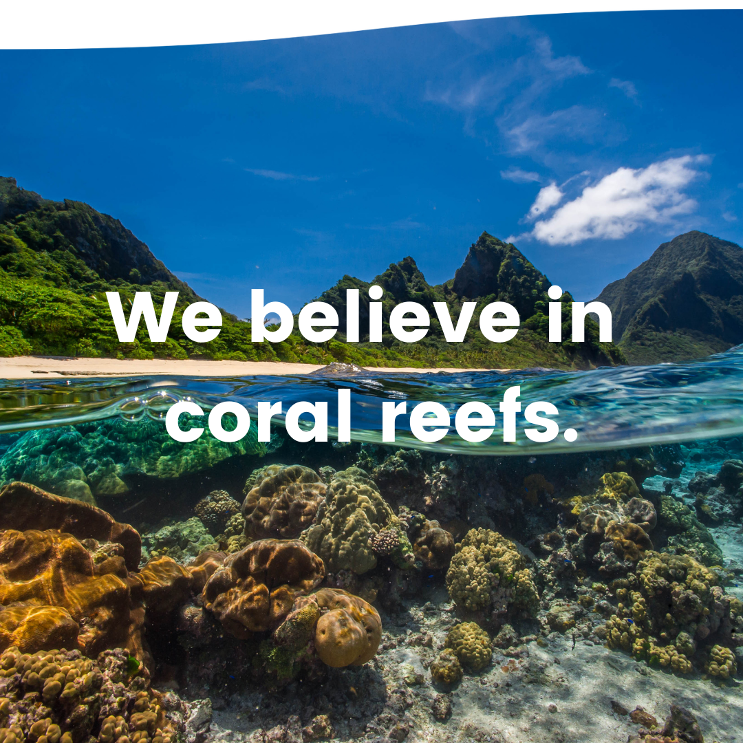 Coral Reef Alliance Saving The Worlds Coral Reefs