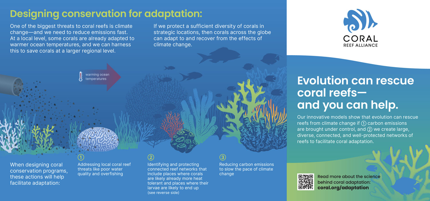 Coral Reefs Ecology & Biodiversity - Coral Reef Alliance