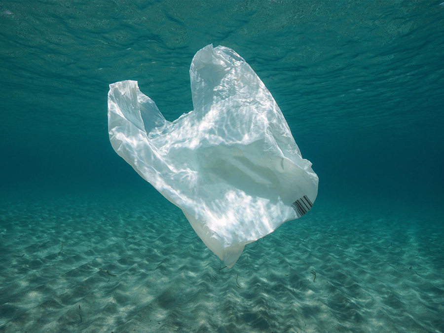 A Guide to Plastic in the Ocean